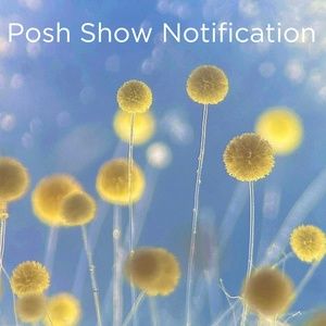 LIVE SHOW Notification